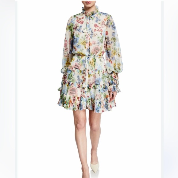 Alexis Dresses & Skirts - Alexis Jaila Floral Ruffle Mini Dress
Size XS | Excellent Condition